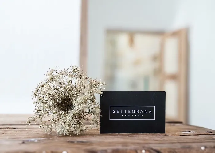 Bed & Breakfast Settegrana Cinisi